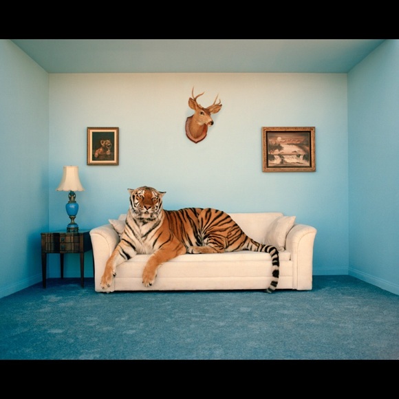 Meet your Posher, Sebastian - Picture 6 of 7